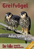  - Der Falke - Sonderheft Vogelzug