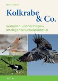  - Rabenschwarze Intelligenz: Was wir von Krähen lernen können