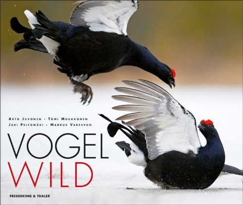  - Vogelwild