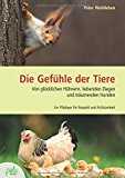 Wohlleben, Peter - Das Seelenleben der Tiere: Liebe, Trauer, Mitgefühl - erstaunliche Einblicke in eine verborgene Welt