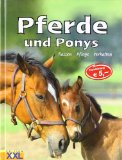  - Das große Buch der Pferde und Ponys. Alles über Herkunft, Rassen, Reiten, Pflege