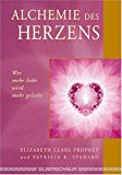 - Seelenpartner & Zwillingsseelen. Die spirituelle Dimension der Liebe und unserer Beziehungen