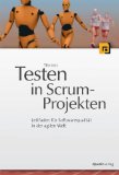  - Scrum in der Praxis: Erfahrungen, Problemfelder und Erfolgsfaktoren