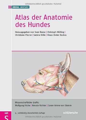 - Atlas der Anatomie des Hundes