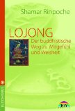  - Grenzenloses Erwachen: Das Herz buddhistischer Meditation - Grundlegende Unterweisungen zur Shine- und Lhagthong Praxis