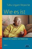  - Wie es ist: Band 1; Essenz von Dzogchen und Mahamudra