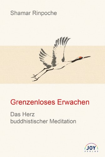 - Grenzenloses Erwachen: Das Herz buddhistischer Meditation - Grundlegende Unterweisungen zur Shine- und Lhagthong Praxis