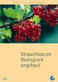  - Anbau von Heidelbeeren und Cranberries