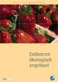  - Erdbeeranbau