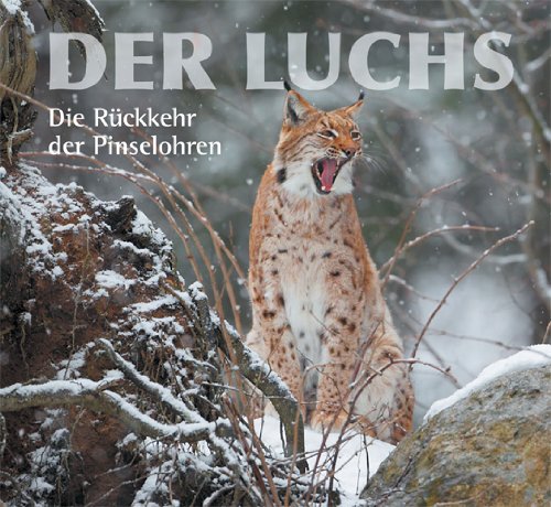  - Der Luchs: Die Rückkehr der Pinselohren