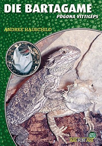  - Die Bartagame: Pogona vitticeps (Art für Art)