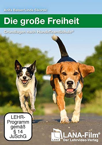  - Die große Freiheit: Grundlagen nach HundeTeamSchule®