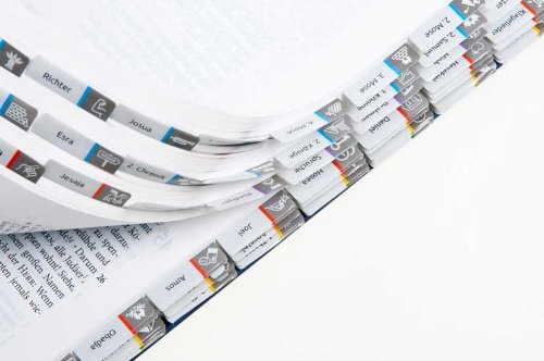 - Das Bibel-Griffregister: mit Symbolen und Bibel-Kompakt-Überblick