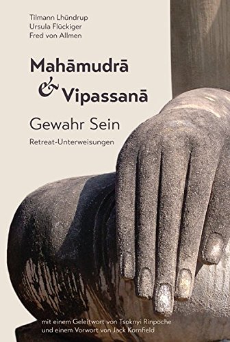 Lhündrup, Tillmann / Flückiger, Ursula / von Allmen, Fred - Mahamudra und Vipassana: Gewahr Sein. Retreat-Unterweisungen