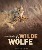  - Der Luchs: Die Rückkehr der Pinselohren