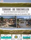  - Tsunamis - Ursachen, Auswirkungen und Vorsorgemaßnahmen