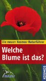  - Welcher Baum ist das?