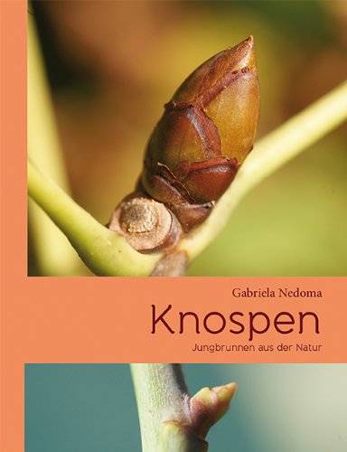- Knospen: und ihre verborgenen Kräfte