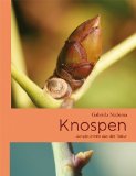  - Grüne Kosmetik: Bio-Pflege aus Küche und Garten: Pflege, die mir schmeckt
