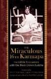  - Luminous Heart: The Third Karmapa On Consciousness, Wisdom, And Buddha Nature (Nitartha Institute)